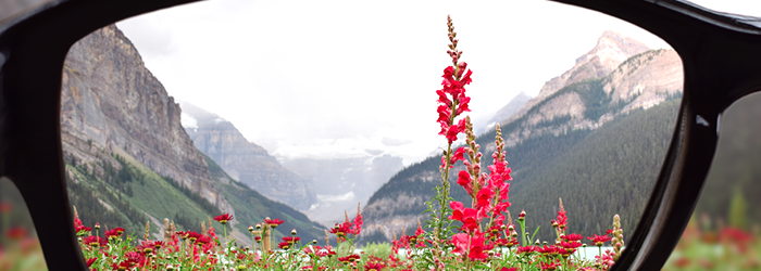 Hearing savings program with Amplifon