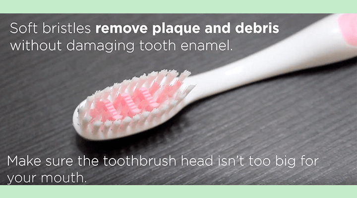toothbrush, overlay: soft bristles remove plaque and debris without damaging tooth enamel. make sure the toothbrush head isn't too big for your mouth.