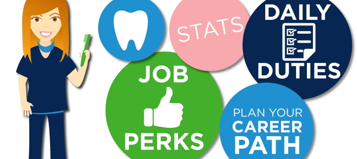 how to become a dental hygenist cartoon