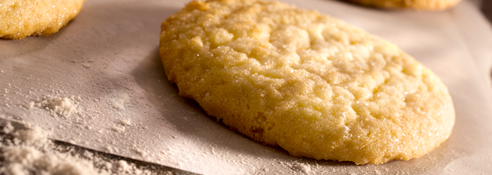 sugar free sugar cookies