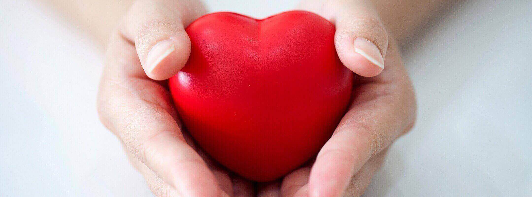 hands holding a stress ball